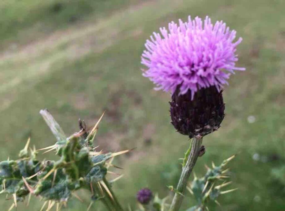 Cragside Villa คาลเลนเดอร์ ภายนอก รูปภาพ
